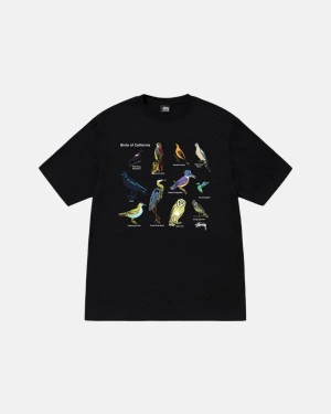 Black / Multicolor Stussy California Birds T Shirts | 2945WMLZT