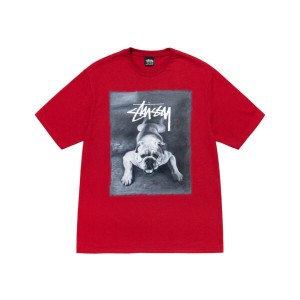 Red Stussy Bulldog T Shirts | 3598LCXJT