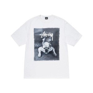 White Stussy Bulldog T Shirts | 1792GZHIS