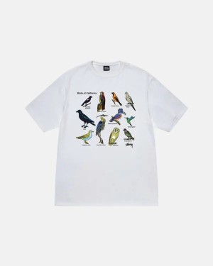 White Stussy California Birds T Shirts | 0594TJBZY