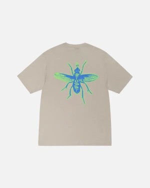 White Stussy Housefly Off T Shirts | 5873JRPAQ