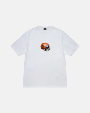 White Stussy Ladybug T Shirts | 7942ANHMO