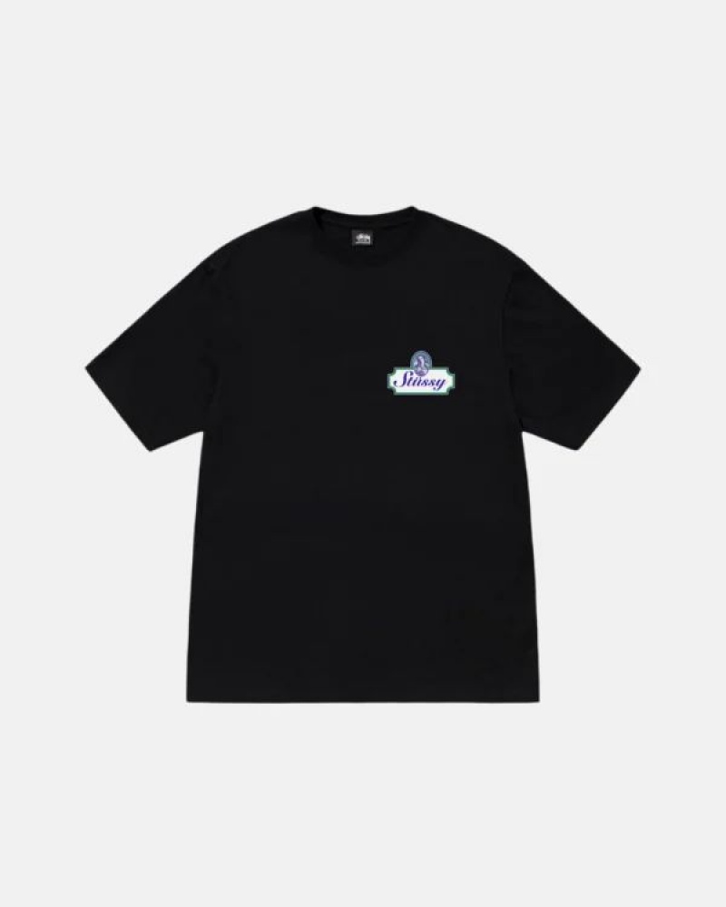 Black Stussy Authentic T Shirts | 4613OKRWS