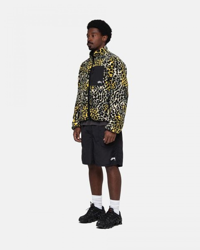 Black Stussy Water Stock Shorts | 8901KPADX