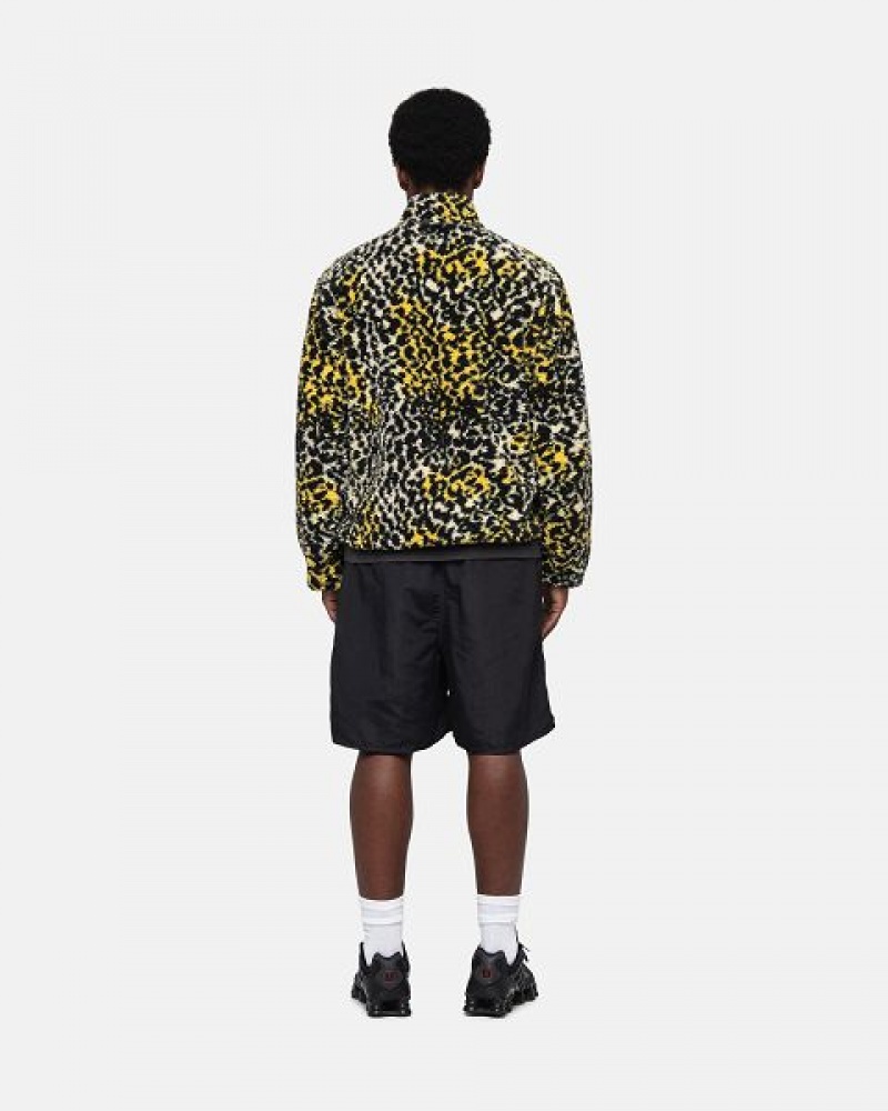 Black Stussy Water Stock Shorts | 8901KPADX