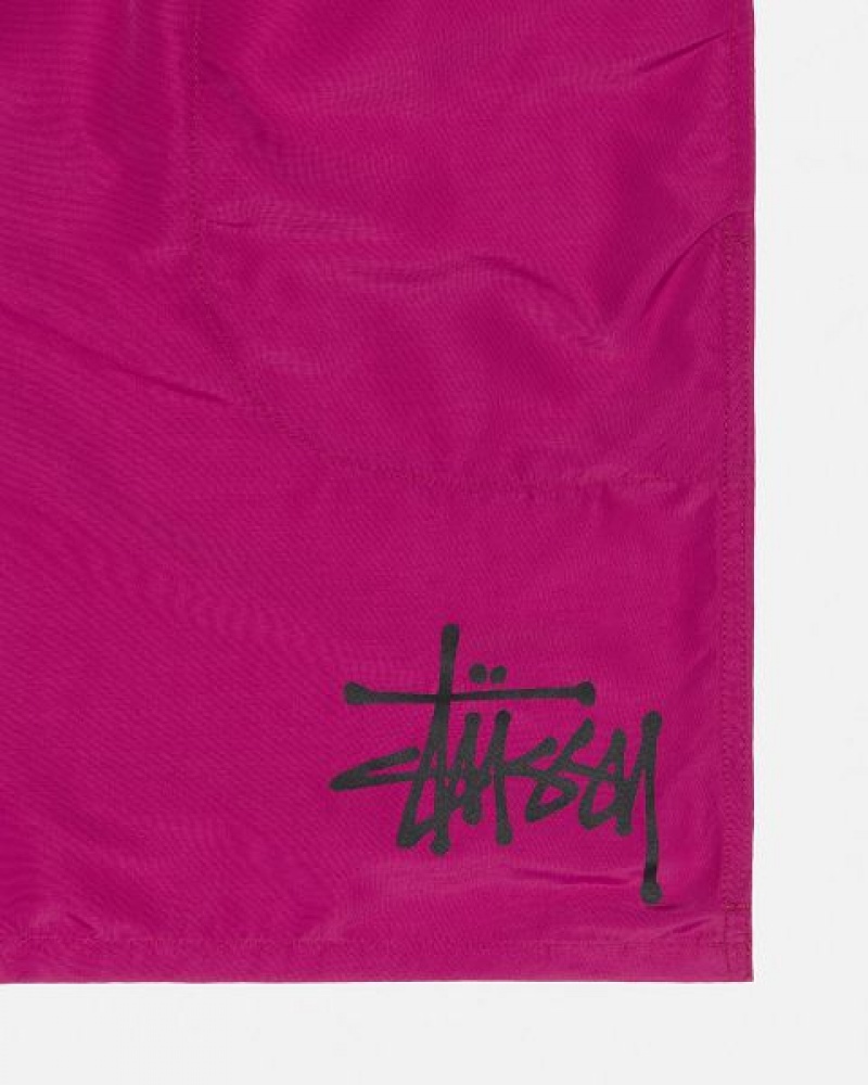 Burgundy Stussy Water Big Basic Shorts | 8045YINUH