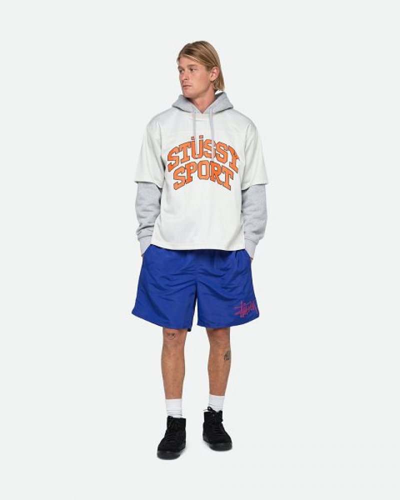 Royal Stussy Water Big Basic Shorts | 2034USGZN